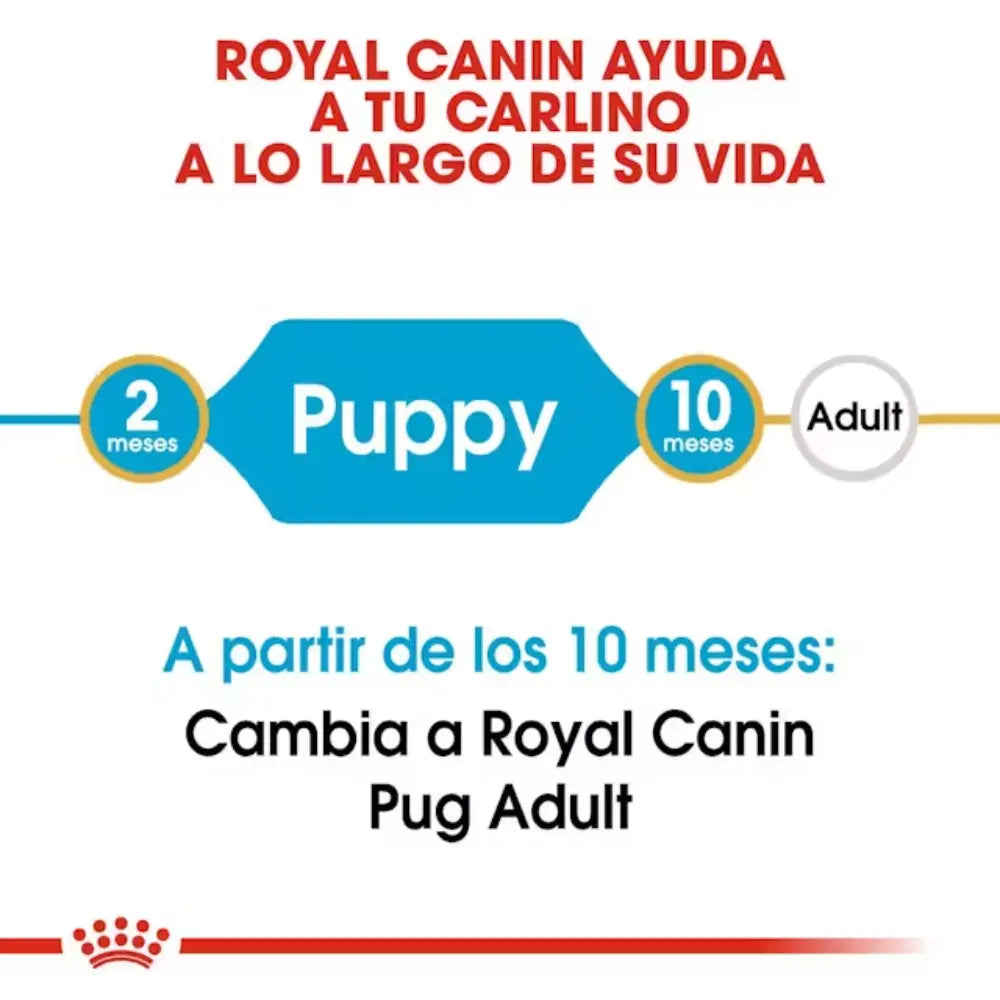 Royal Canin Carlino Pug Puppy 1.5 kg al mejor precio -Todoanimal.es