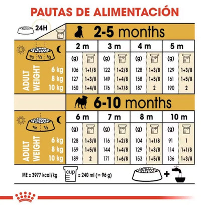 Royal Canin Carlino Pug Puppy 1.5 kg al mejor precio -Todoanimal.es