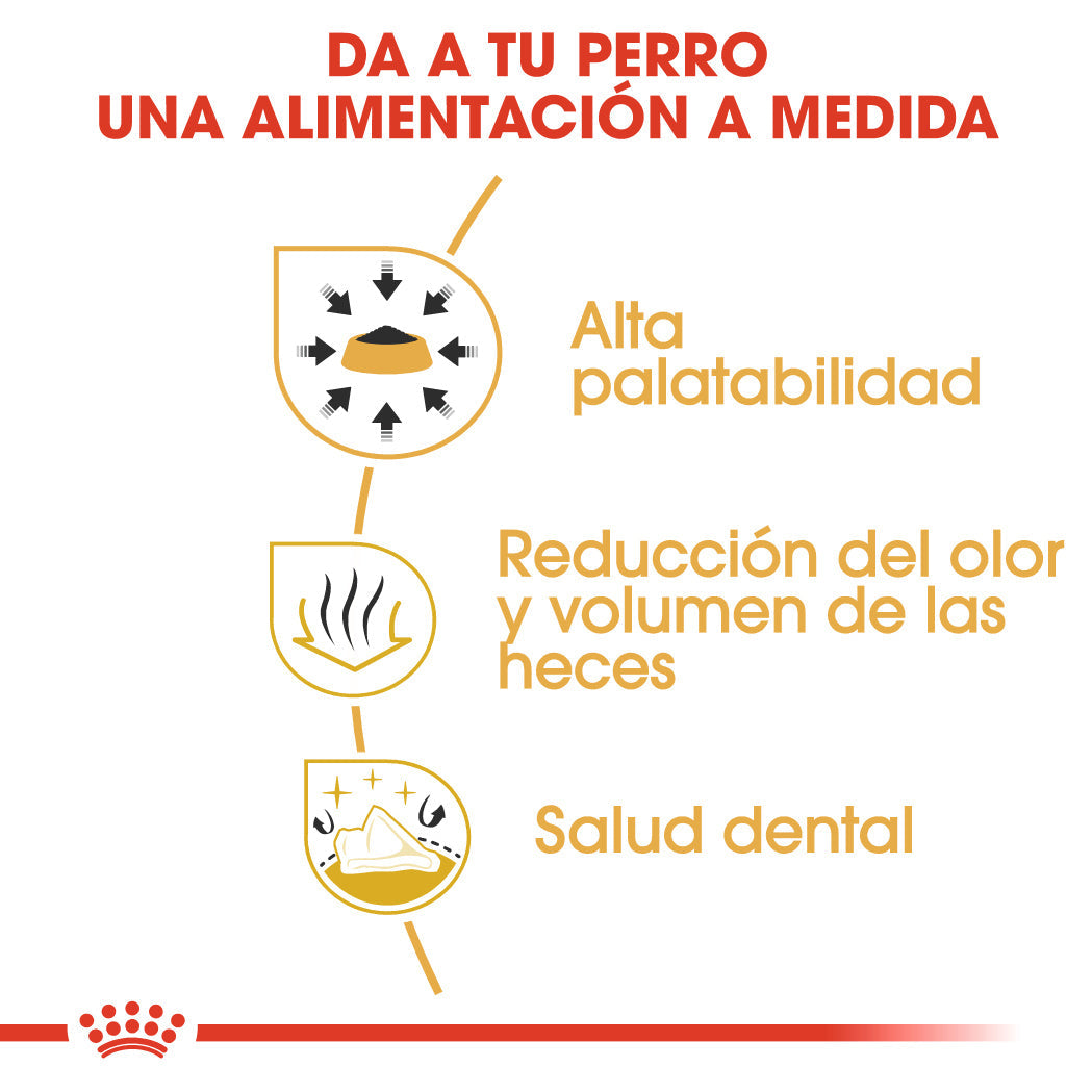 Royal Canin Chihuahua Adulto 3 kg al mejor precio -Todoanimal.es