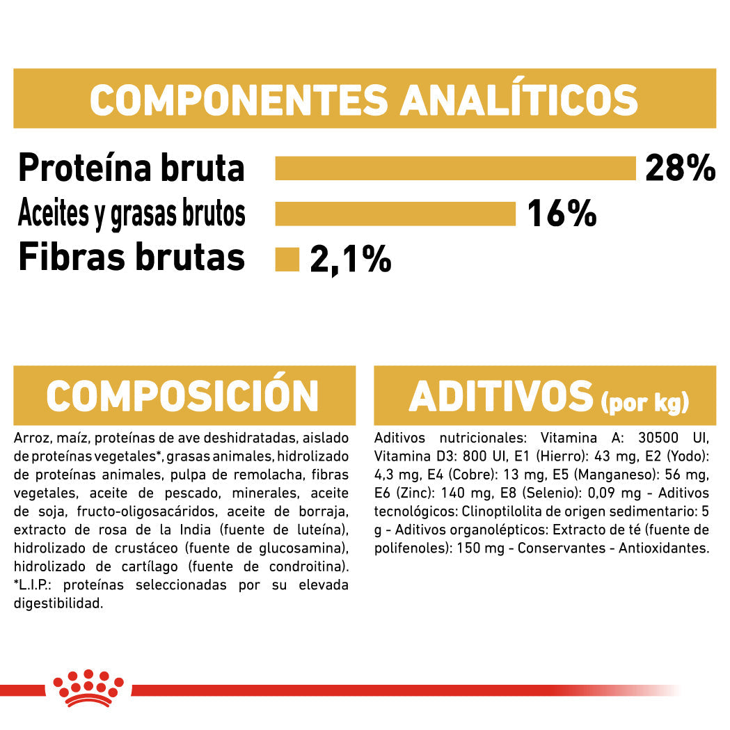 Royal Canin Chihuahua Adulto 3 kg al mejor precio -Todoanimal.es