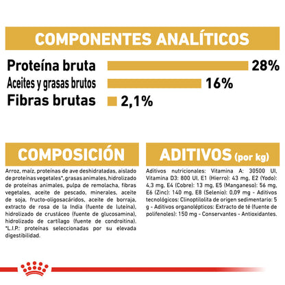 Royal Canin Chihuahua Adulto 3 kg al mejor precio -Todoanimal.es