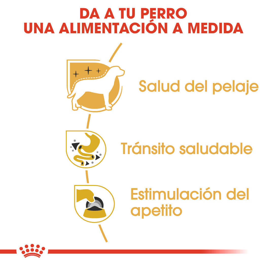 Royal Canin Chihuahua Paté Adulto 85 g Comida Húmeda para Perros al mejor precio -Todoanimal.es