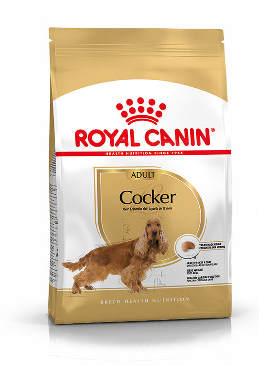 Royal Canin Cocker Spaniels Pienso para Perros de Raza al mejor precio -Todoanimal.es