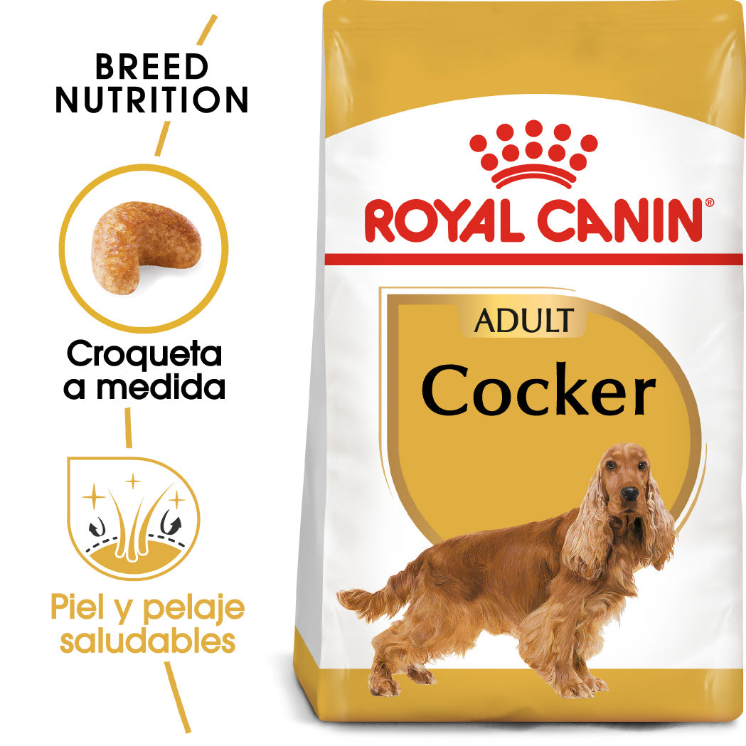 Royal Canin Cocker Spaniels Pienso para Perros de Raza al mejor precio -Todoanimal.es