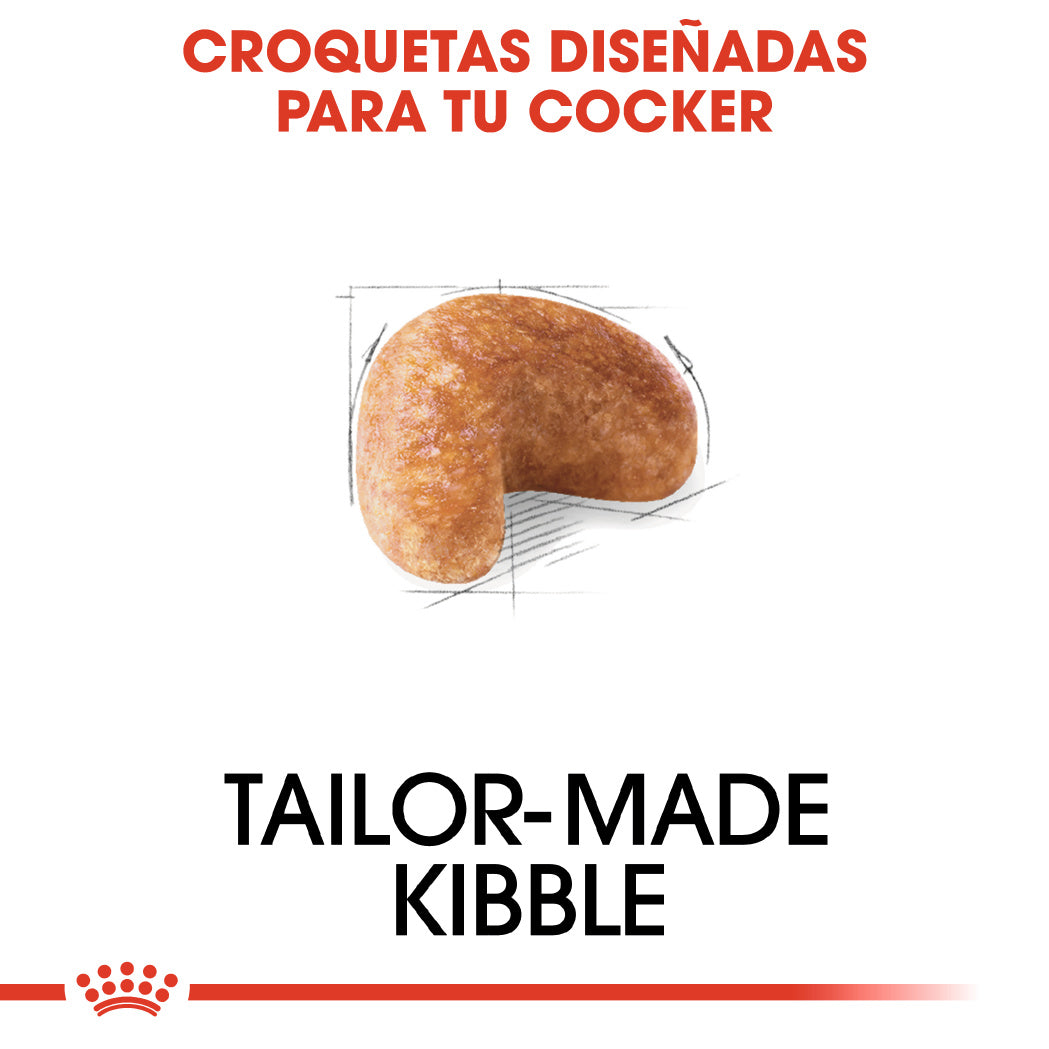 Royal Canin Cocker Spaniels Pienso para Perros de Raza al mejor precio -Todoanimal.es