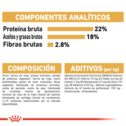 Royal Canin Dálmata Pienso para Perros Adultos de Raza al mejor precio -Todoanimal.es