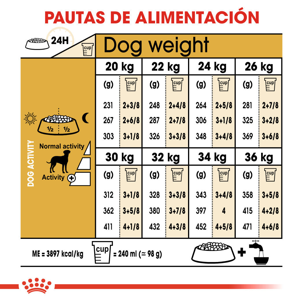 Royal Canin Dálmata Pienso para Perros Adultos de Raza al mejor precio -Todoanimal.es