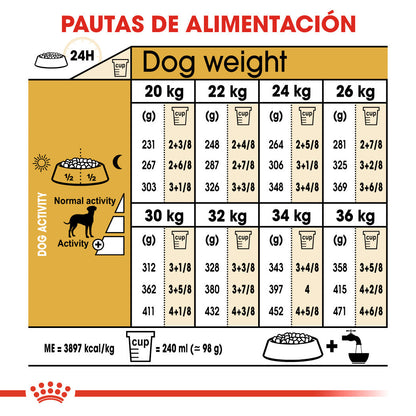 Royal Canin Dálmata Pienso para Perros Adultos de Raza al mejor precio -Todoanimal.es