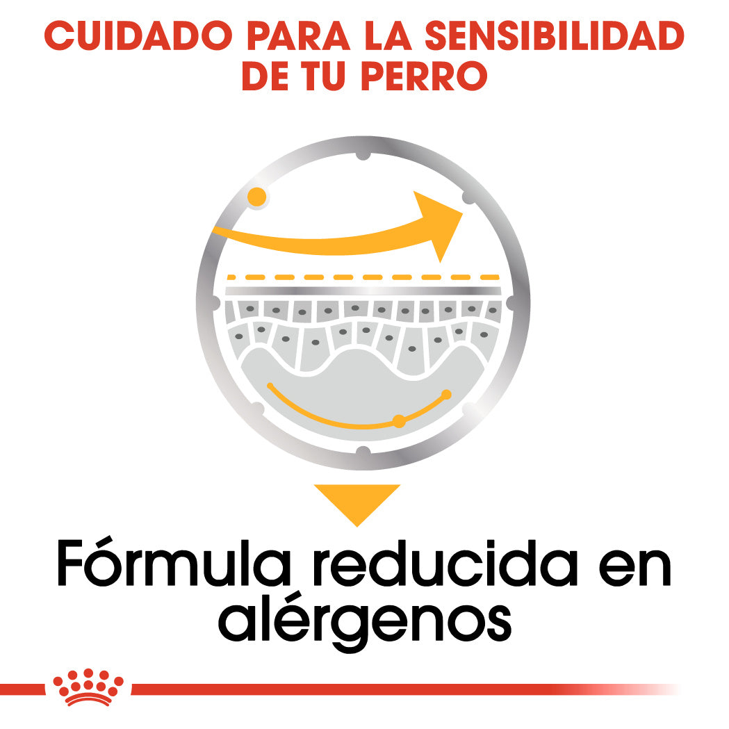 Royal Canin Dermacomfort Care Paté 85 g Comida Húmeda para Perros al mejor precio -Todoanimal.es