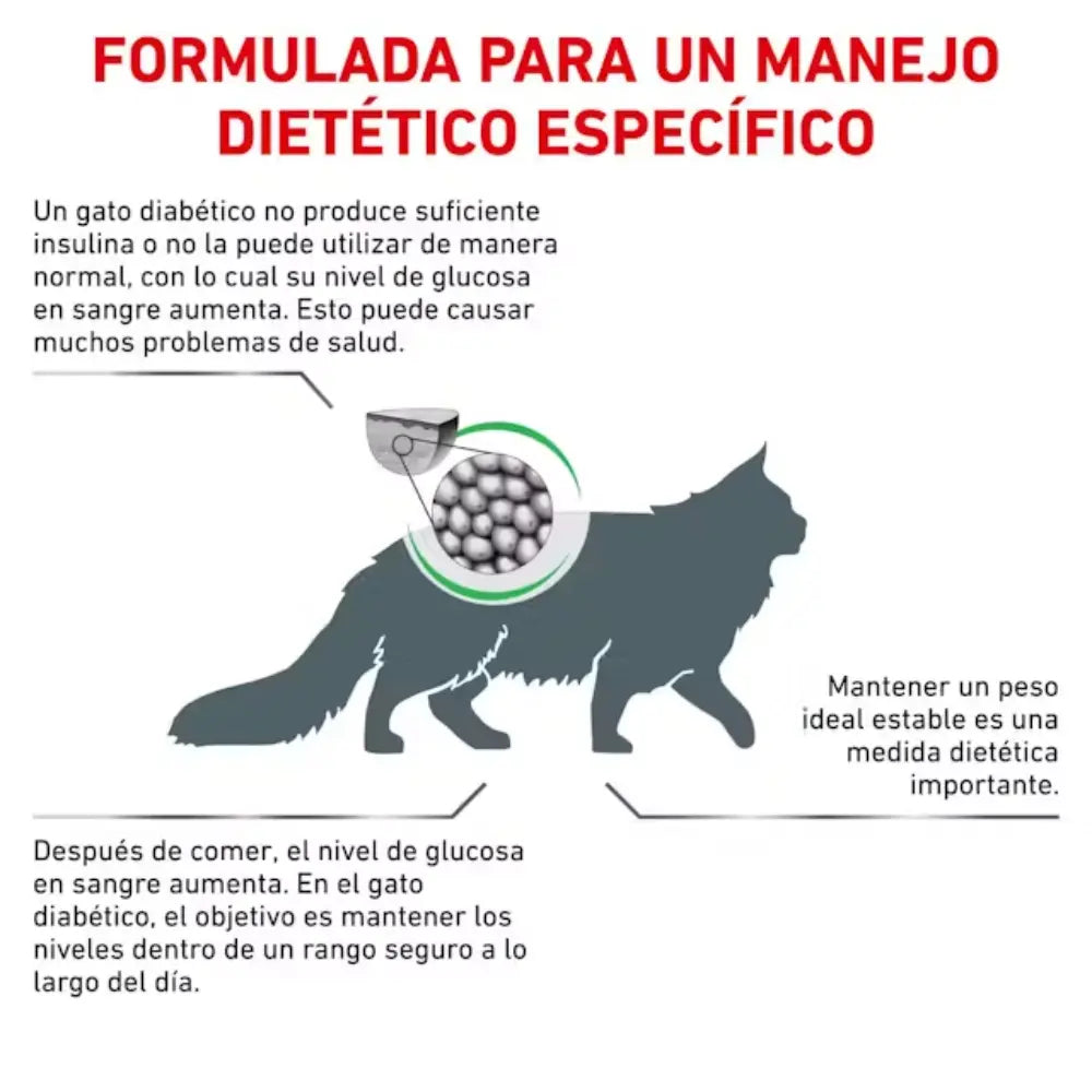 Royal Canin Diabetic Gato - Todoanimal.es