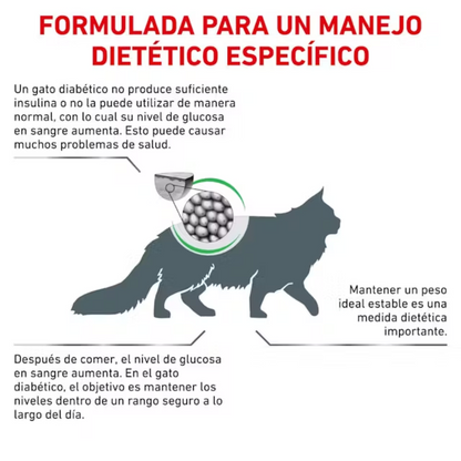 Royal Canin Diabetic Gato al mejor precio -Todoanimal.es