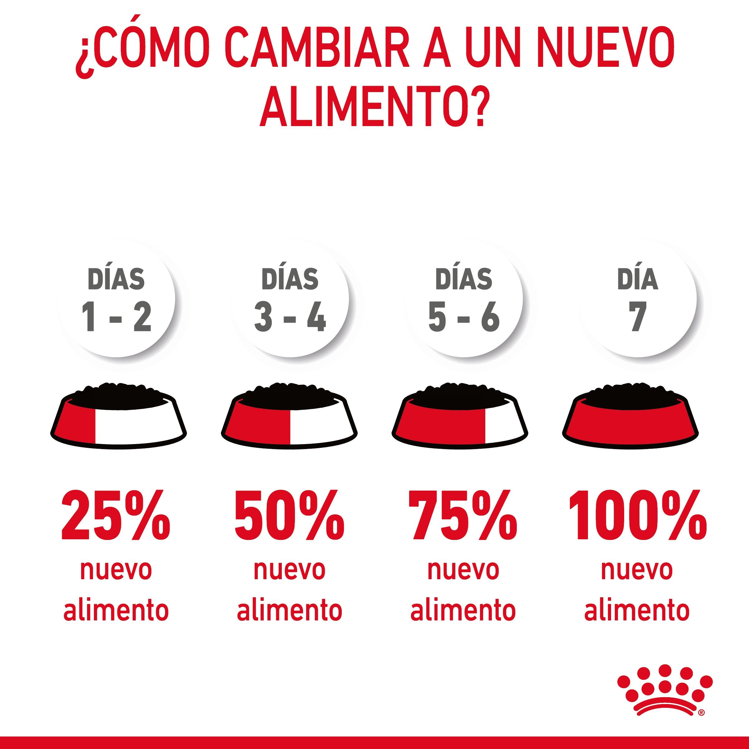 Royal Canin Digestive Care Finas Láminas en Salsa 85 g Húmedo para Gatos al mejor precio -Todoanimal.es