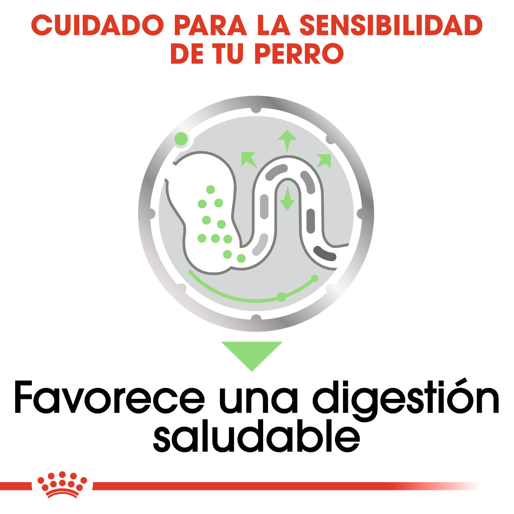 Royal Canin Digestive Care Paté 85 g Comida Húmeda para Perros al mejor precio -Todoanimal.es