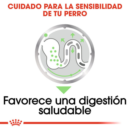 Royal Canin Digestive Care Paté 85 g Comida Húmeda para Perros al mejor precio -Todoanimal.es