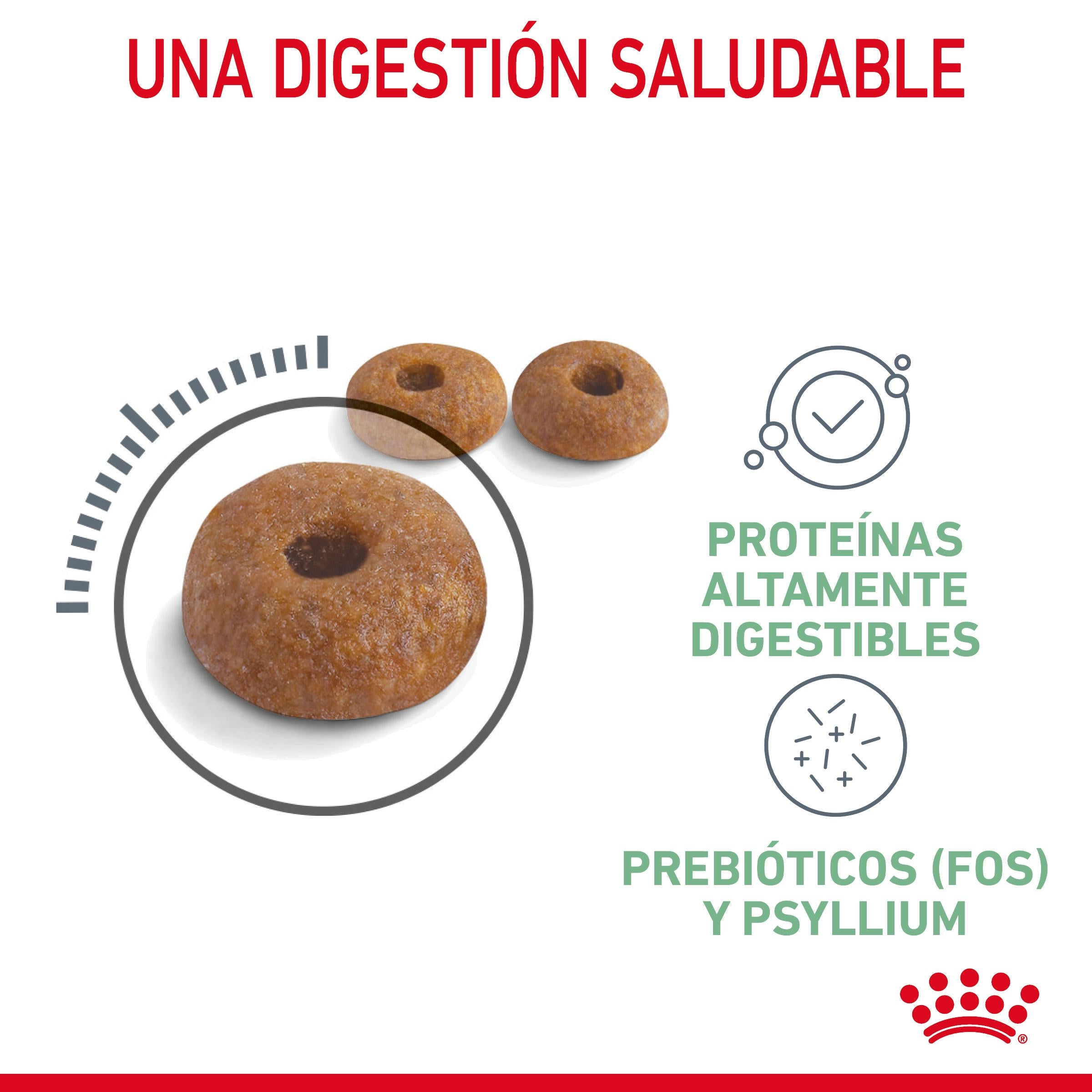Royal Canin Digestive Care Pienso para Gatos al mejor precio -Todoanimal.es