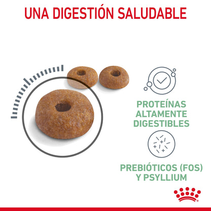 Royal Canin Digestive Care Pienso para Gatos al mejor precio -Todoanimal.es
