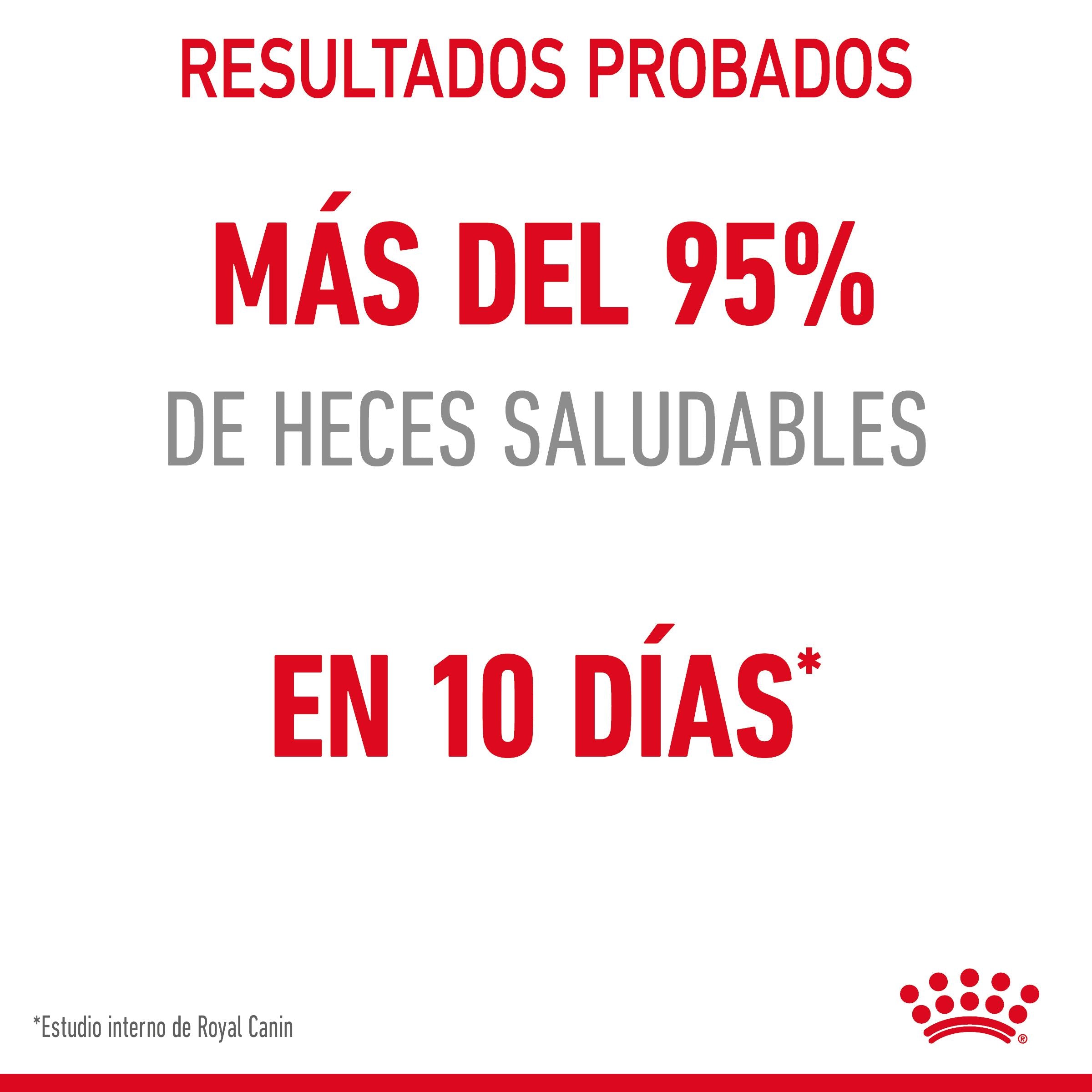 Royal Canin Digestive Care Pienso para Gatos al mejor precio -Todoanimal.es