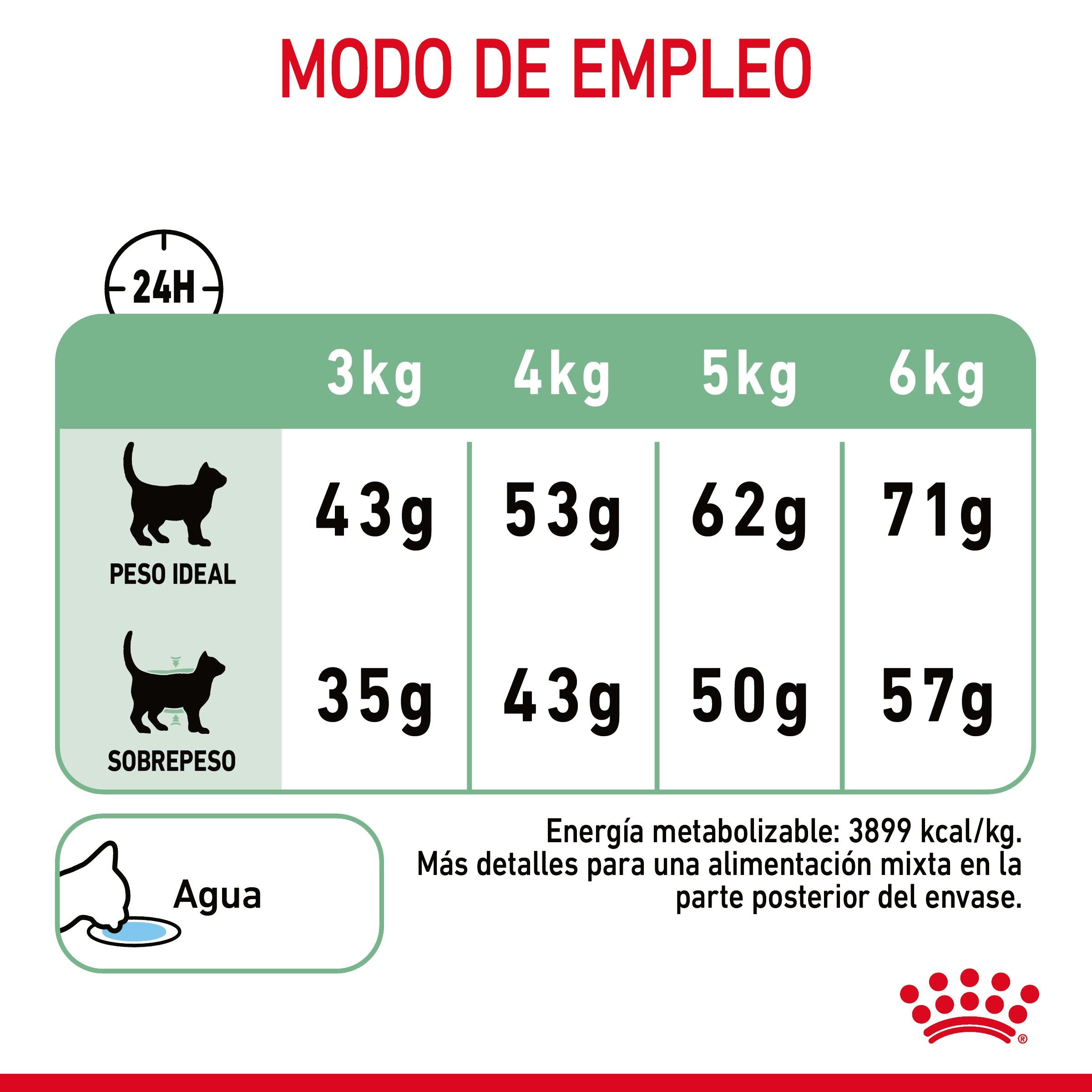 Royal Canin Digestive Care Pienso para Gatos al mejor precio -Todoanimal.es