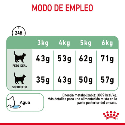 Royal Canin Digestive Care Pienso para Gatos al mejor precio -Todoanimal.es
