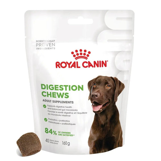 Royal Canin Digestive Support Chews 160 g Suplemento para Perros Adultos al mejor precio -Todoanimal.es