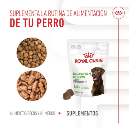 Royal Canin Digestive Support Chews 160 g Suplemento para Perros Adultos al mejor precio -Todoanimal.es