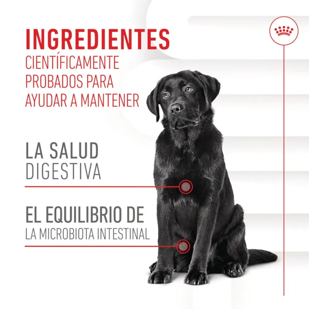 Royal Canin Digestive Support Chews 160 g Suplemento para Perros Adultos al mejor precio -Todoanimal.es