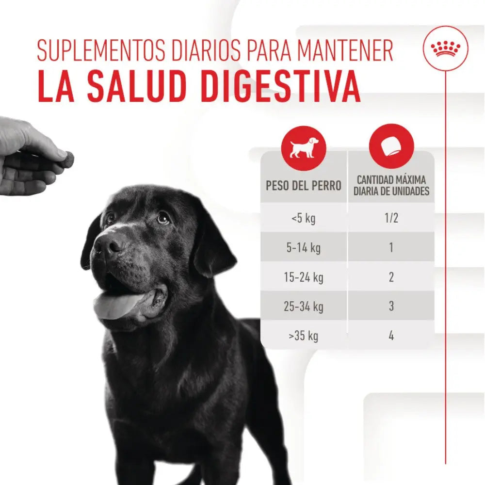 Royal Canin Digestive Support Chews 160 g Suplemento para Perros Adultos al mejor precio -Todoanimal.es