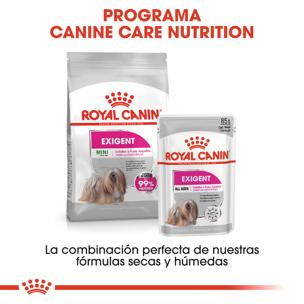 Royal Canin Exigent Care Paté 85 g Alimento Húmedo para Perros al mejor precio -Todoanimal.es