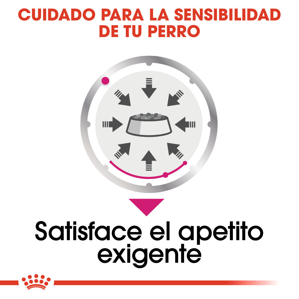 Royal Canin Exigent Care Paté 85 g Alimento Húmedo para Perros al mejor precio -Todoanimal.es