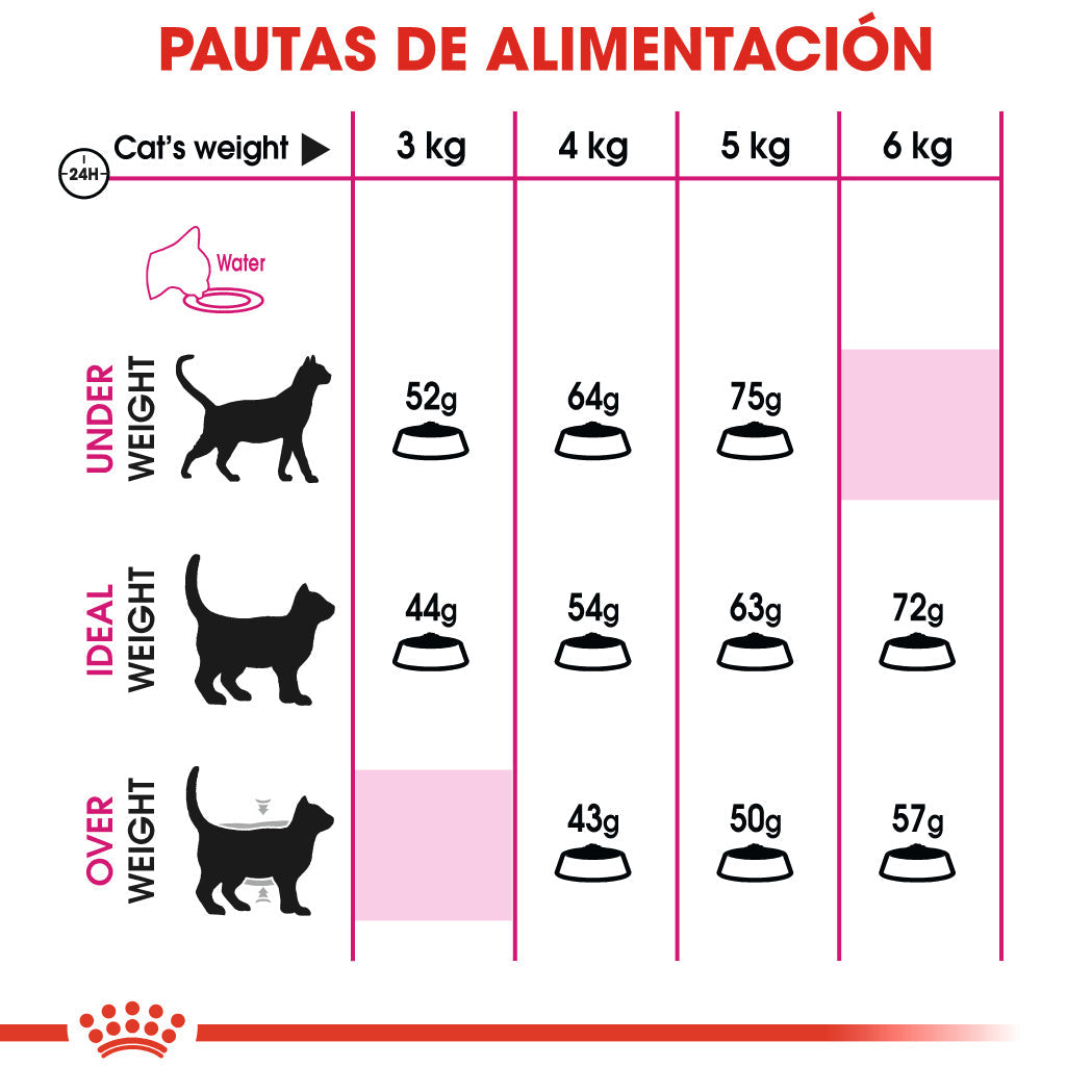 Royal Canin Fit 32 Pienso Seco para Gatos Adultos al mejor precio -Todoanimal.es