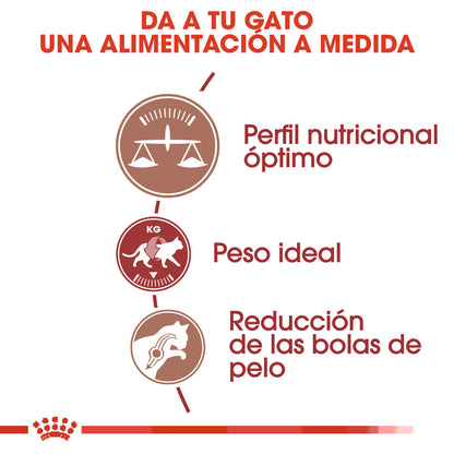 Royal Canin Fit 32 Pienso Seco para Gatos Adultos al mejor precio -Todoanimal.es