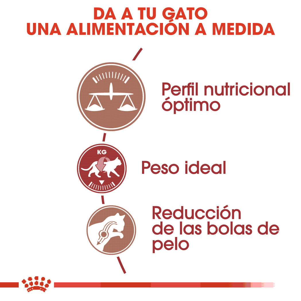 Royal Canin Fit 32 Pienso Seco para Gatos Adultos al mejor precio -Todoanimal.es