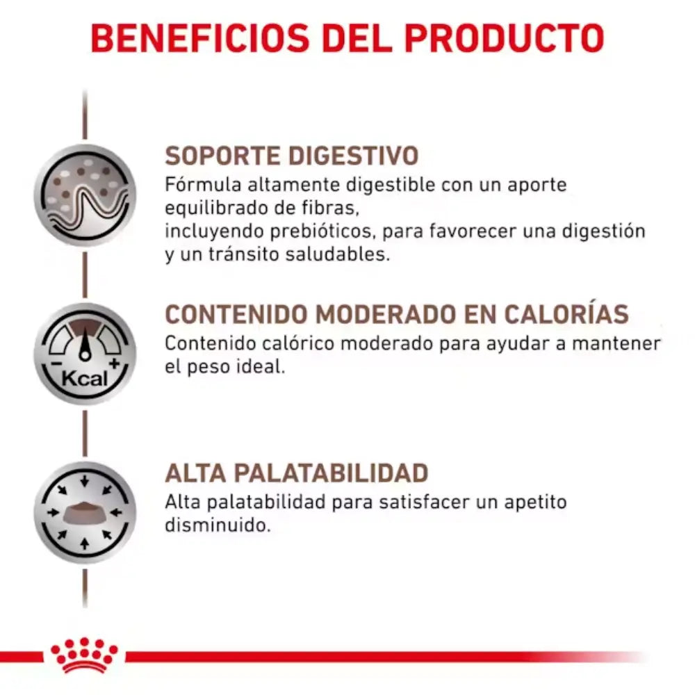 Royal Canin Gastro Instestinal Moderate S/O Calorie 2 kg Gato al mejor precio -Todoanimal.es