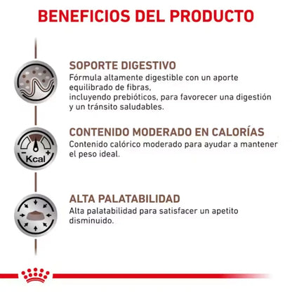 Royal Canin Gastro Instestinal Moderate S/O Calorie 2 kg Gato al mejor precio -Todoanimal.es