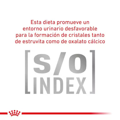 Royal Canin Gastro Instestinal Moderate S/O Calorie 2 kg Gato al mejor precio -Todoanimal.es