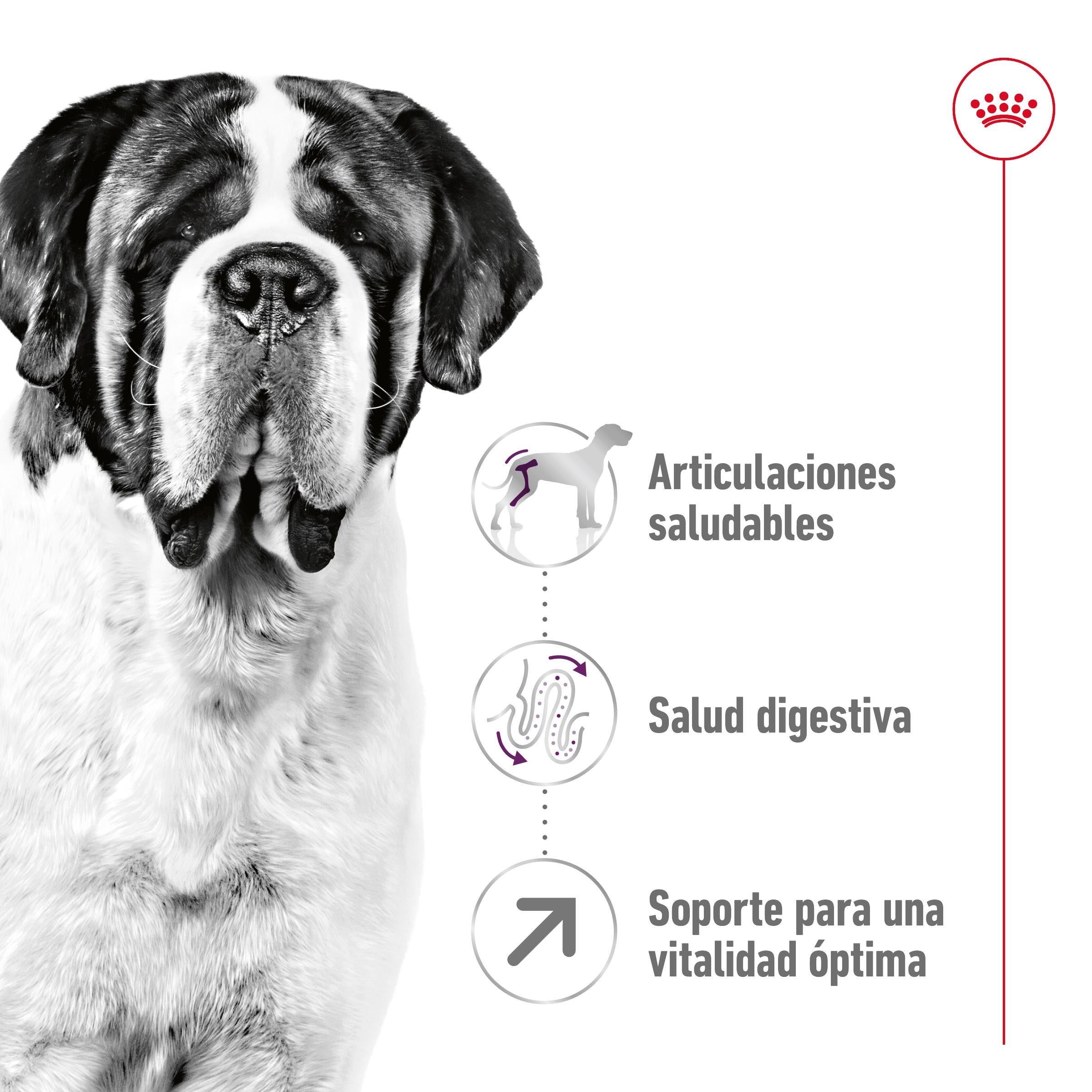 Royal Canin Giant Adult 15 kg Pienso para Perros al mejor precio -Todoanimal.es