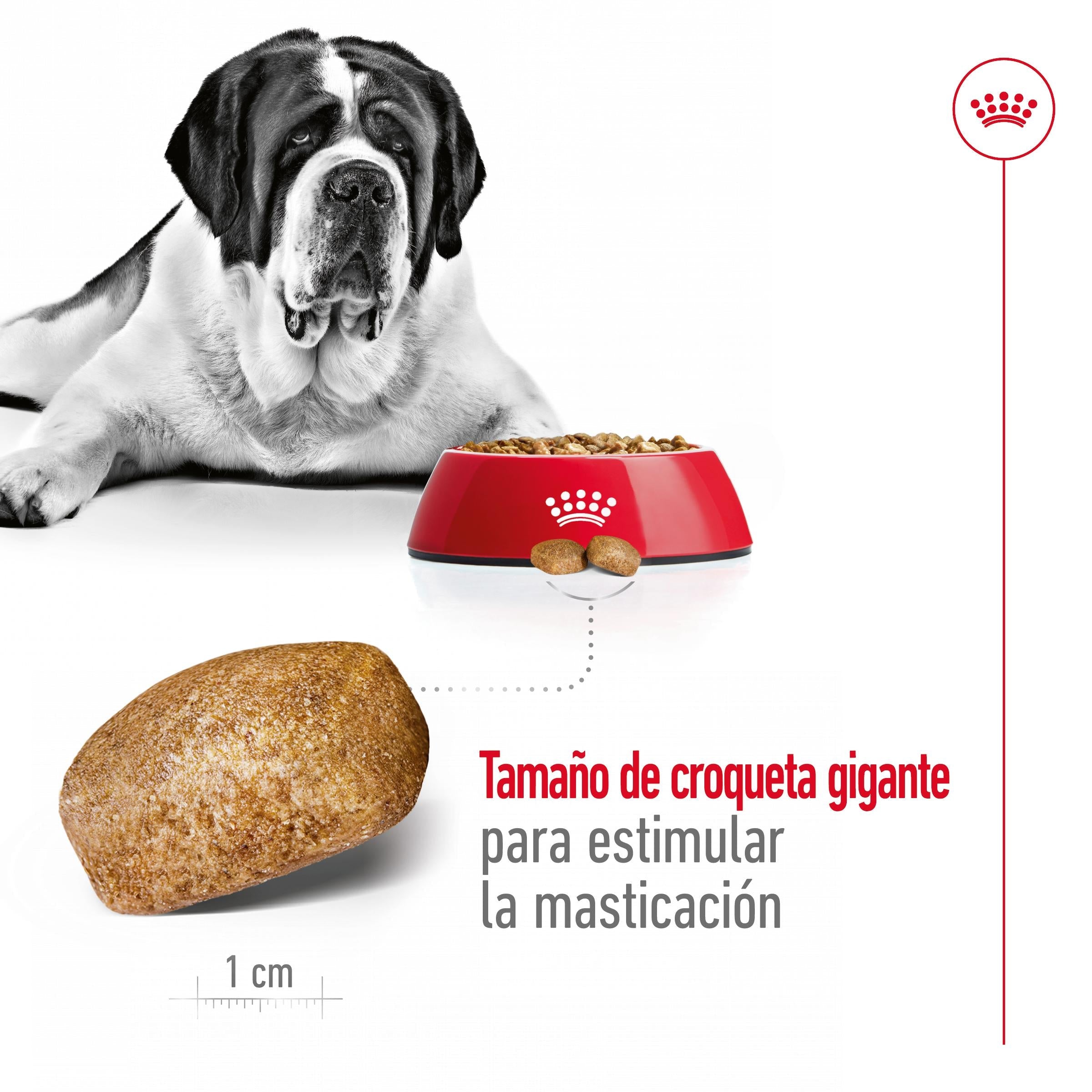 Royal Canin Giant Adult 15 kg Pienso para Perros al mejor precio -Todoanimal.es