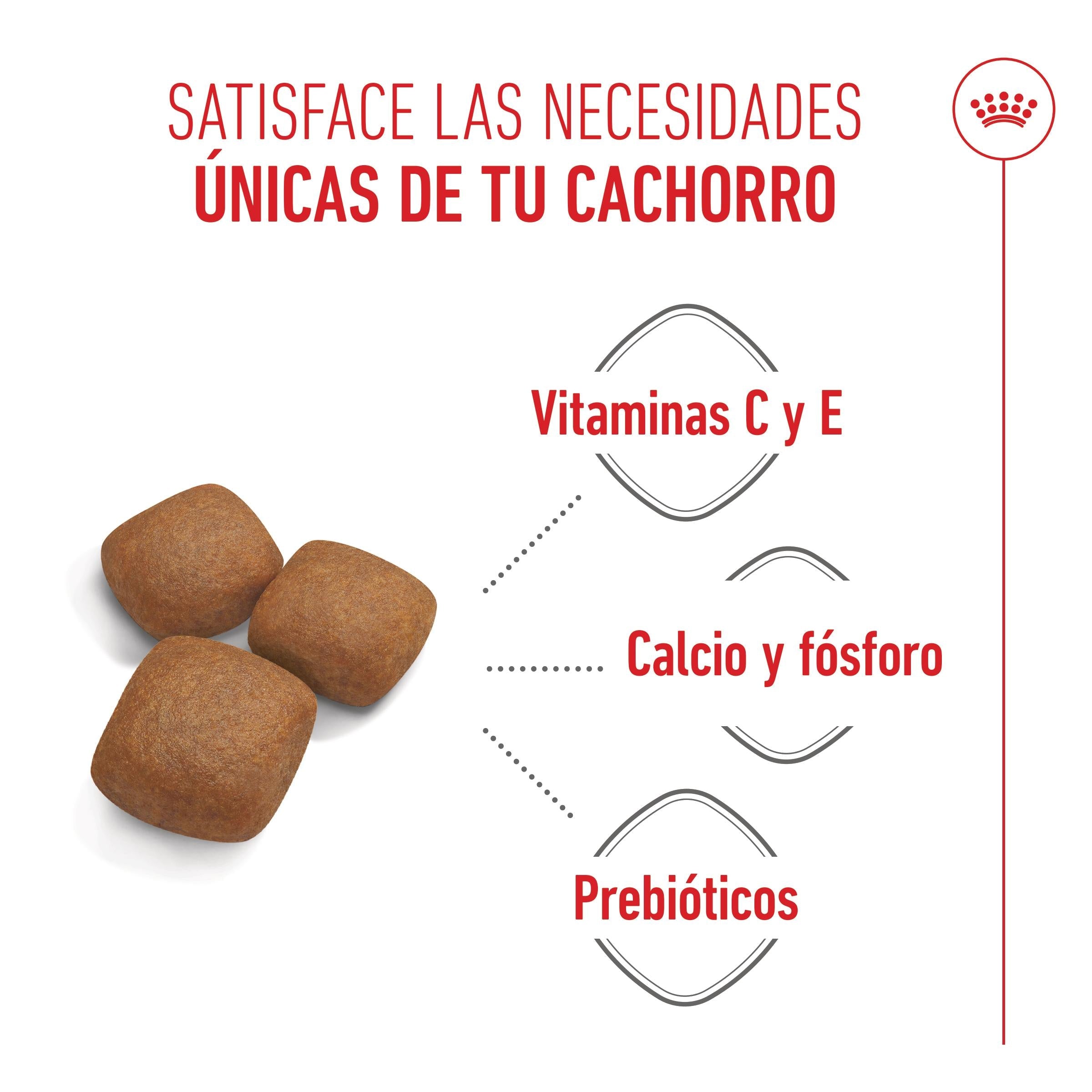 Royal Canin Giant Junior Pienso para Cachorros de Raza Grande al mejor precio -Todoanimal.es