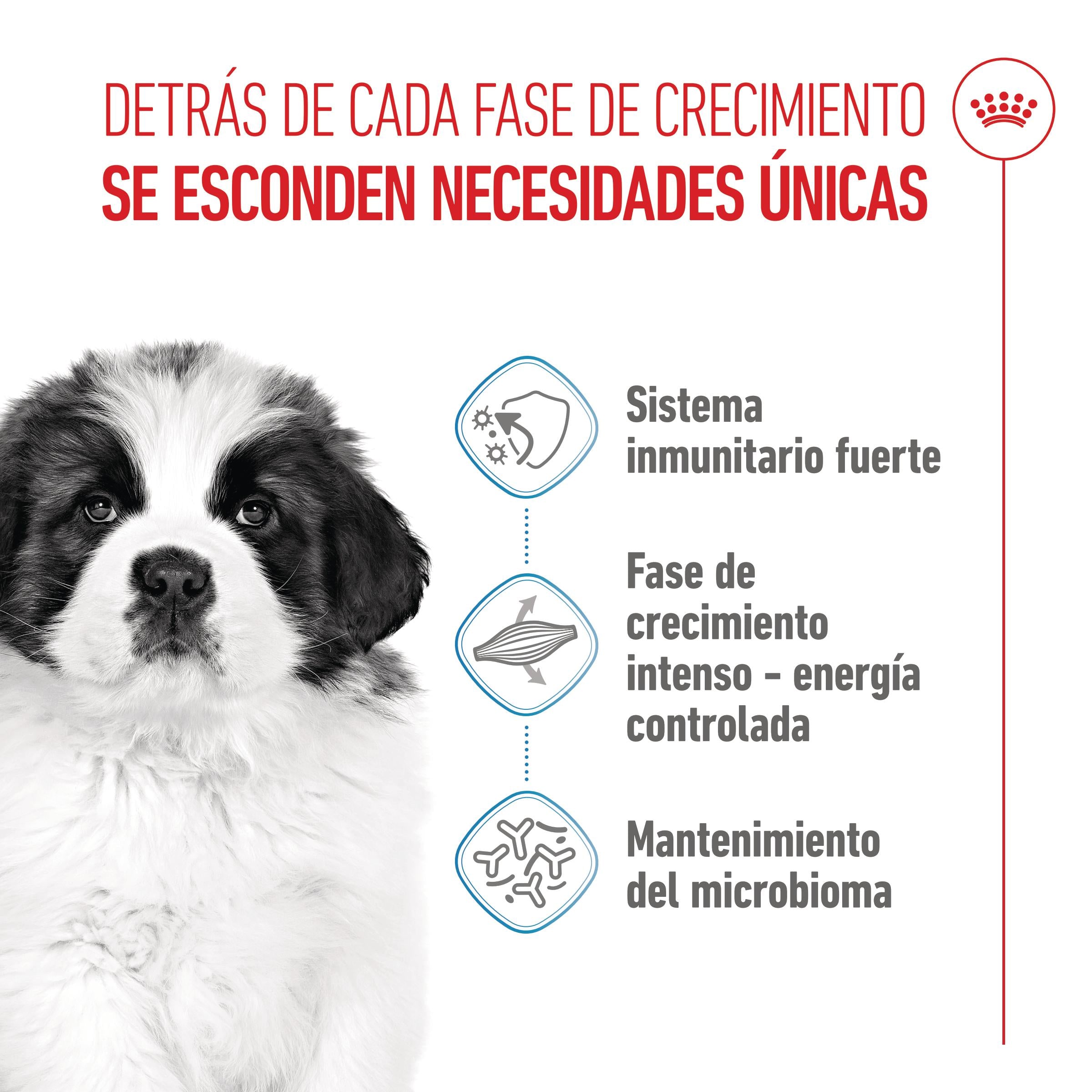 Royal Canin Giant Puppy Pienso para Cachorros de Raza Grande al mejor precio -Todoanimal.es