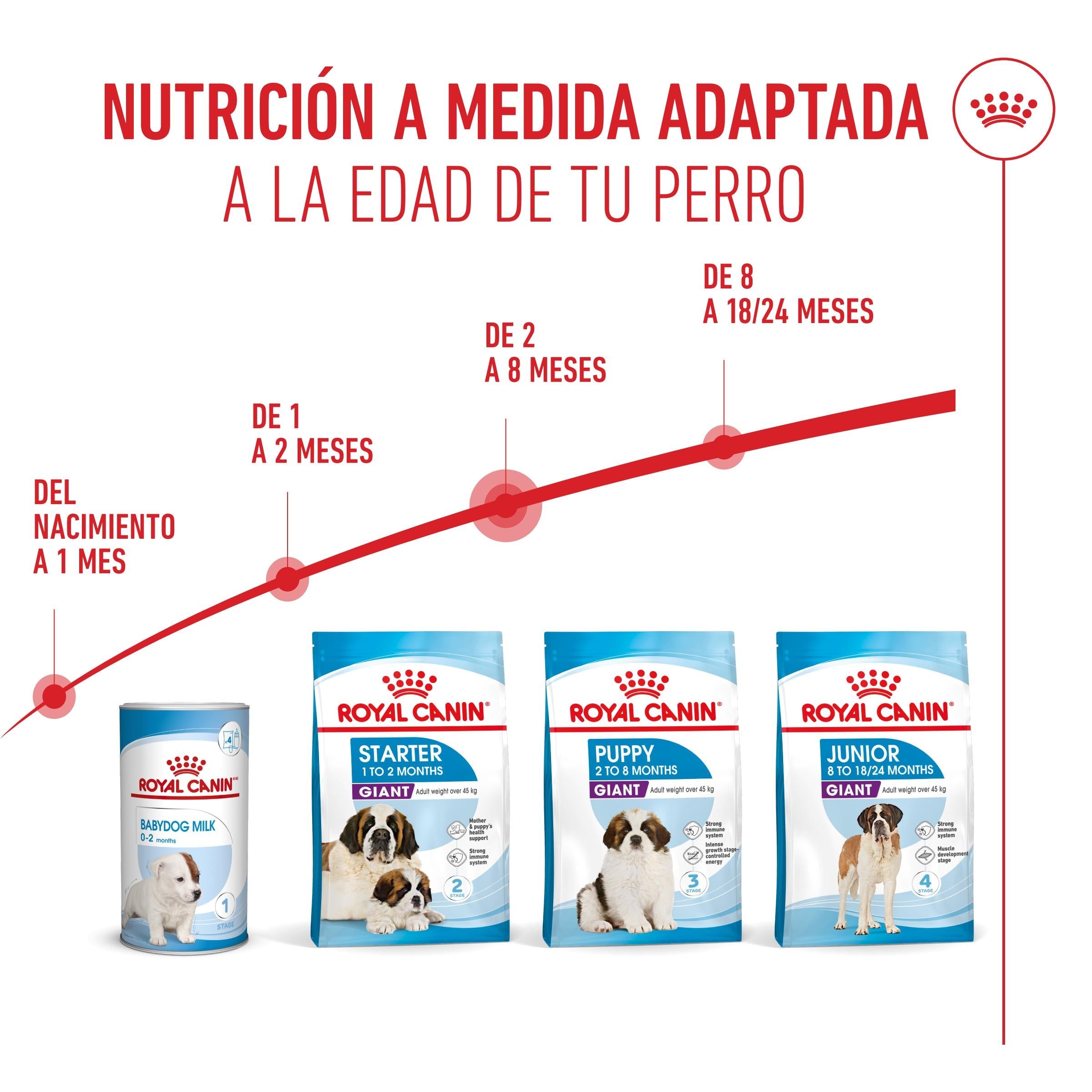 Royal Canin Giant Puppy Pienso para Cachorros de Raza Grande al mejor precio -Todoanimal.es
