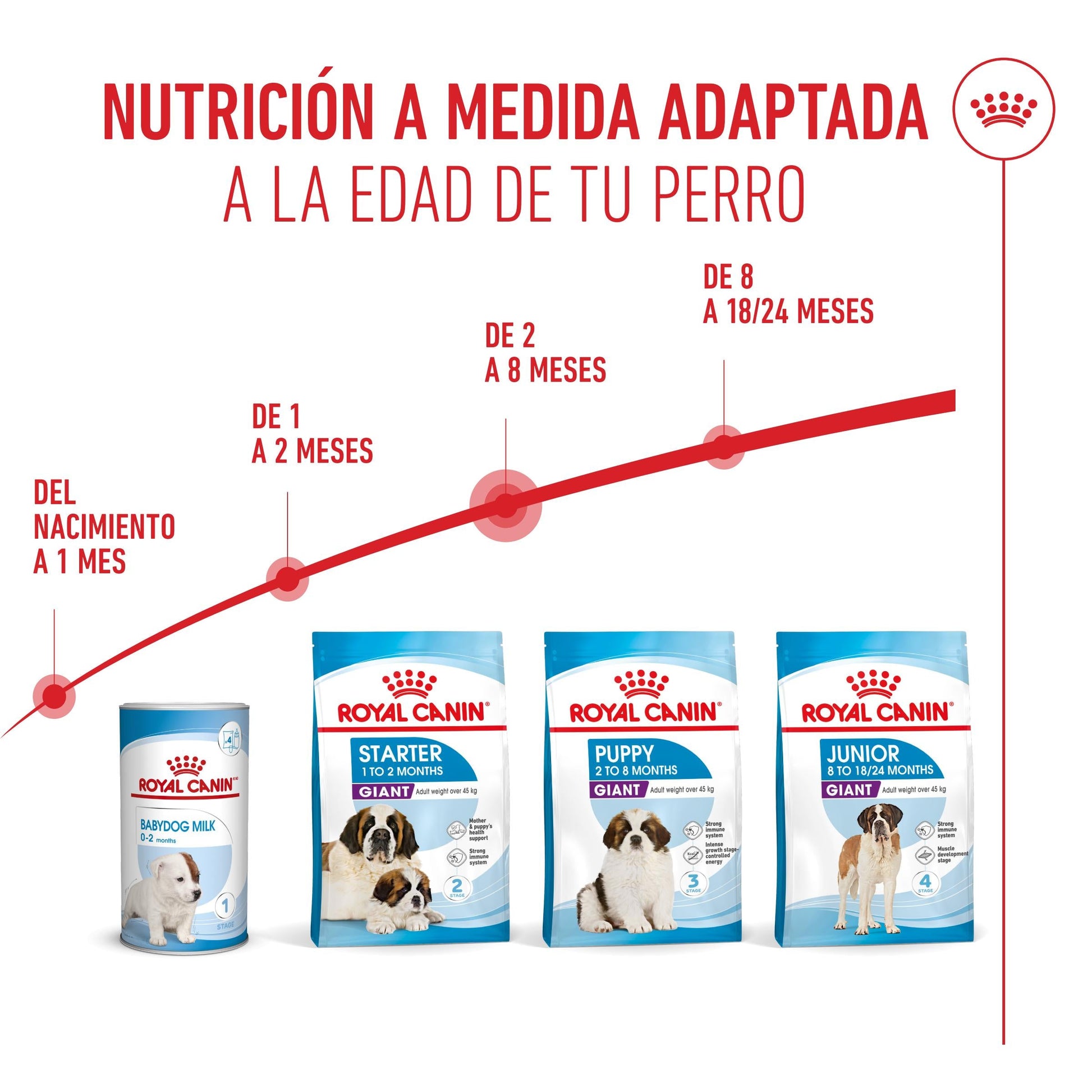 Royal Canin Giant Puppy Pienso para Cachorros de Raza Grande al mejor precio -Todoanimal.es