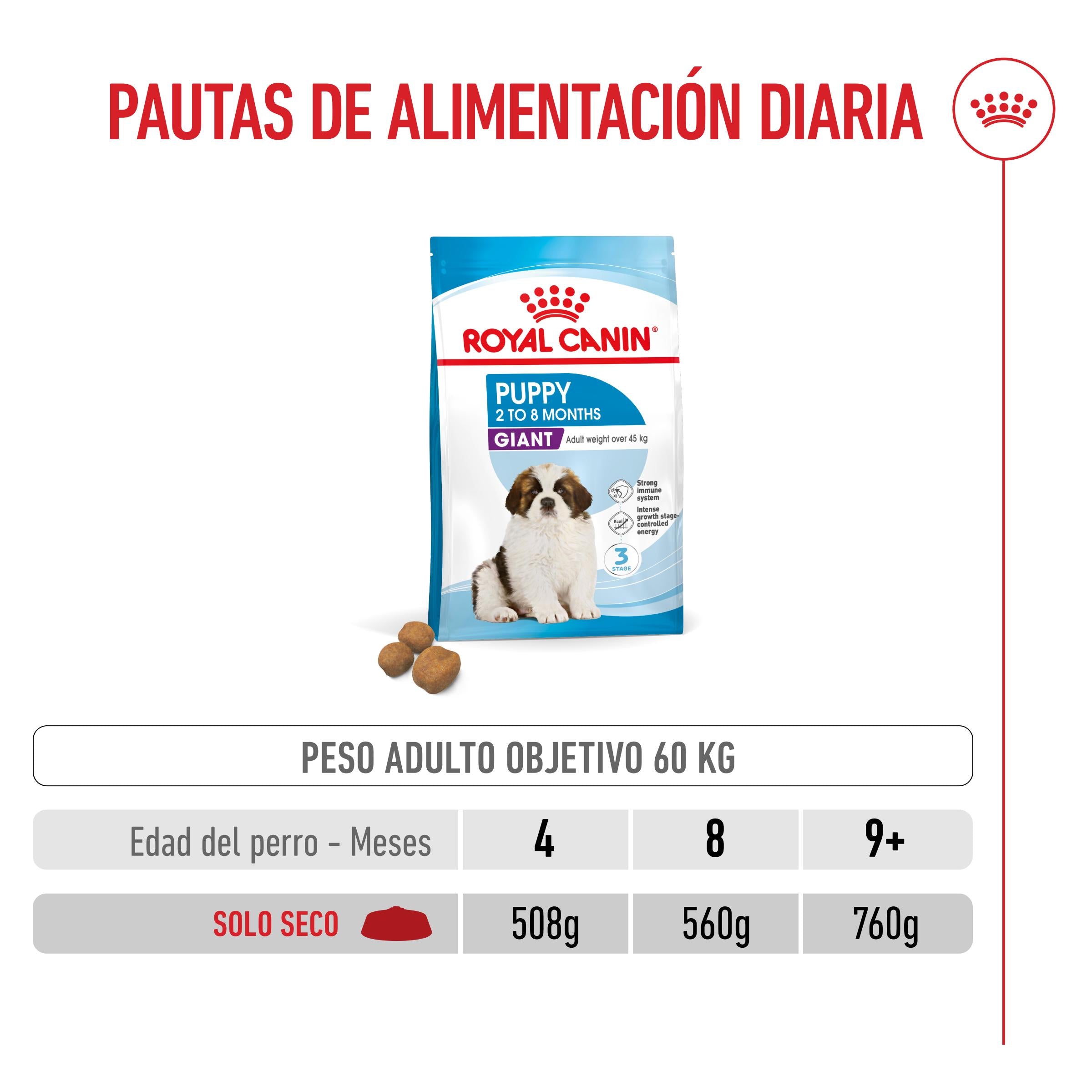 Royal Canin Giant Puppy Pienso para Cachorros de Raza Grande al mejor precio -Todoanimal.es