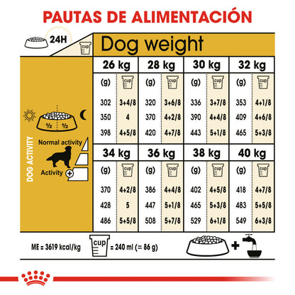 Royal Canin Golden Retriever Pienso para Perros de Raza al mejor precio -Todoanimal.es