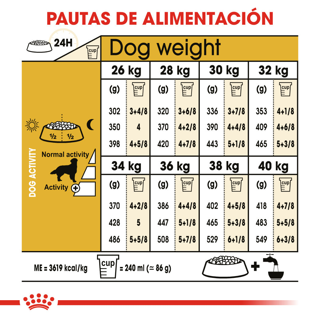 Royal Canin Golden Retriever Pienso para Perros de Raza al mejor precio -Todoanimal.es