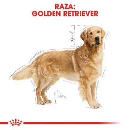 Royal Canin Golden Retriever Pienso para Perros de Raza al mejor precio -Todoanimal.es