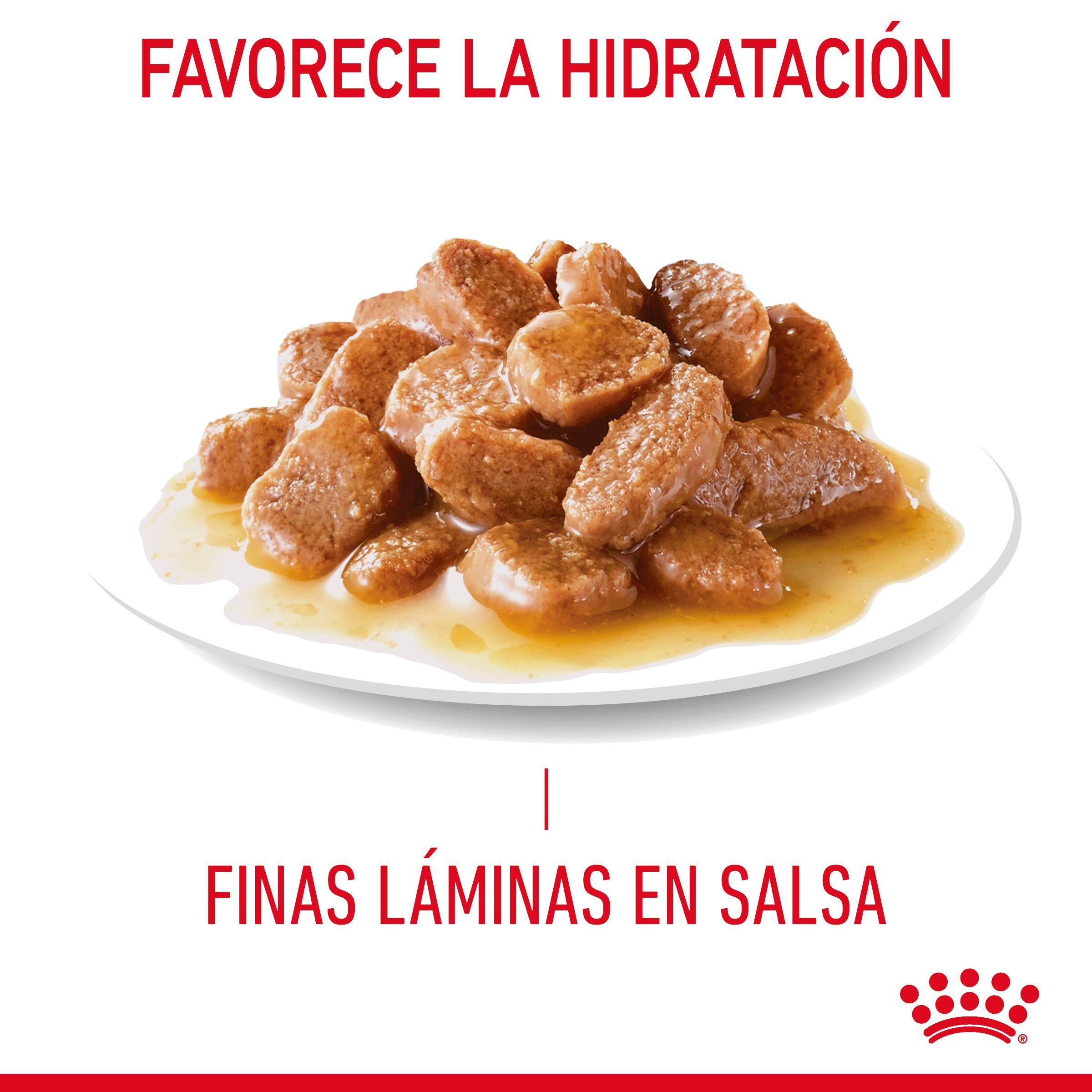Royal Canin Hair & Skin Care Finas Láminas en Salsa 85 g Húmedo para Gatos al mejor precio -Todoanimal.es