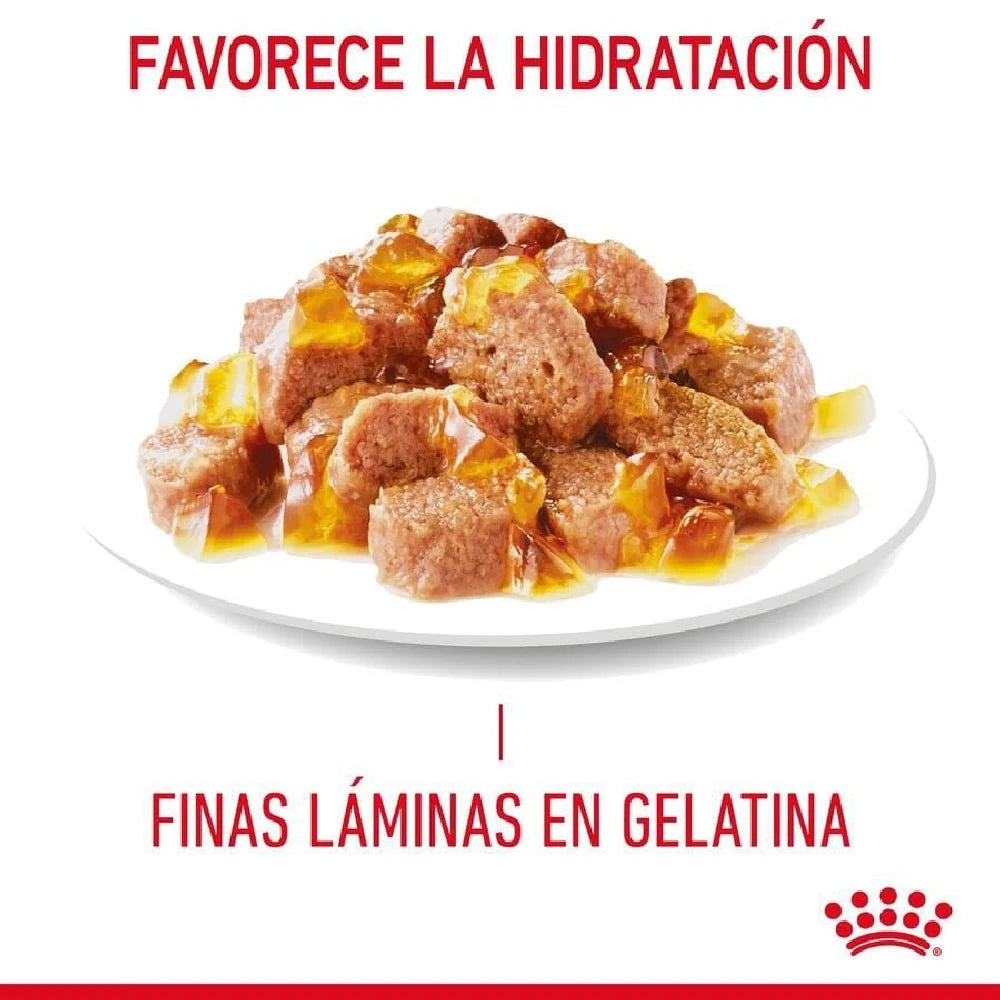 Royal Canin Hair & Skin Finas Láminas en Gelatina 85 g Comida Húmeda para Gatos al mejor precio -Todoanimal.es