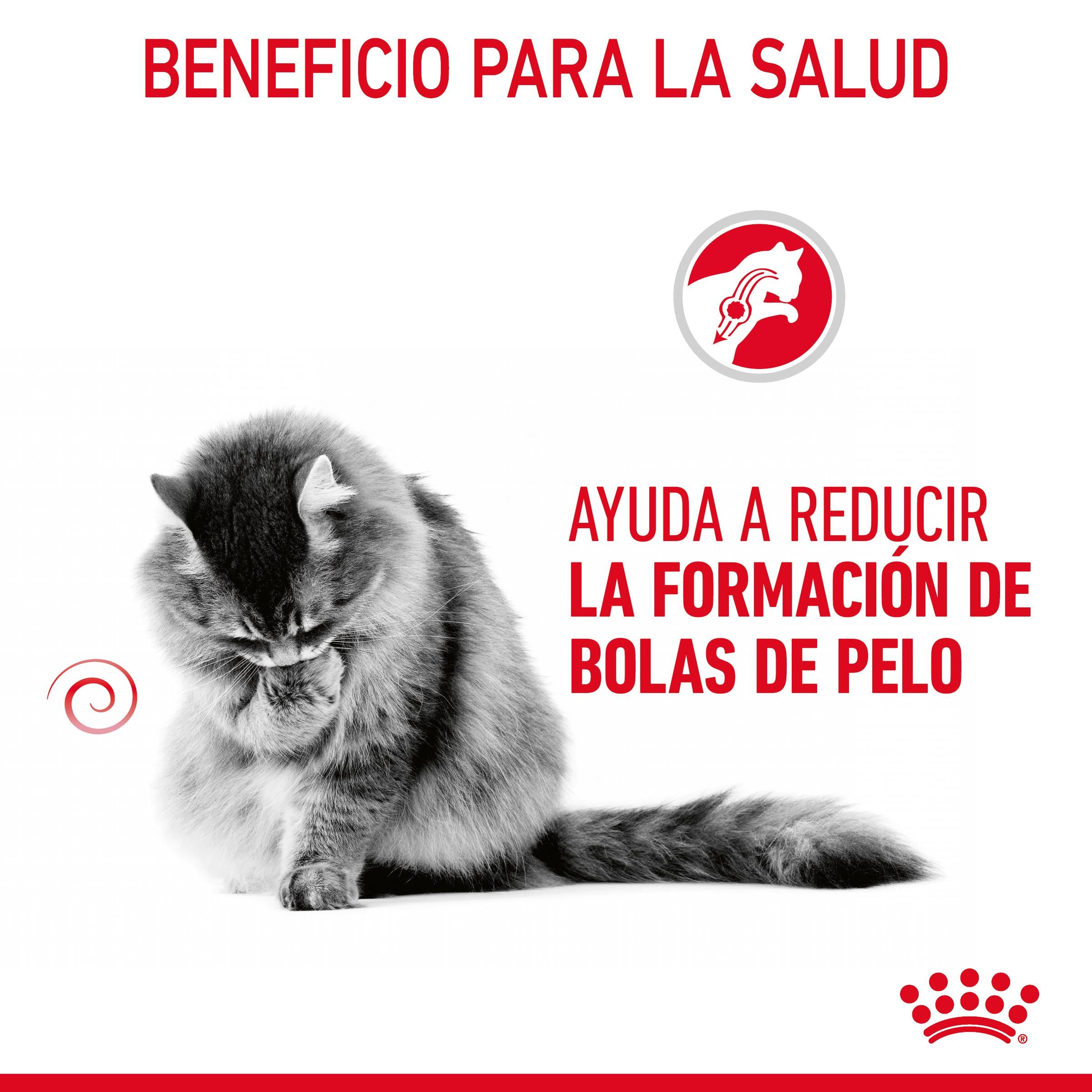 Royal Canin Hairball Care Finas Láminas en Salsa 85 g Húmedo para Gatos al mejor precio -Todoanimal.es