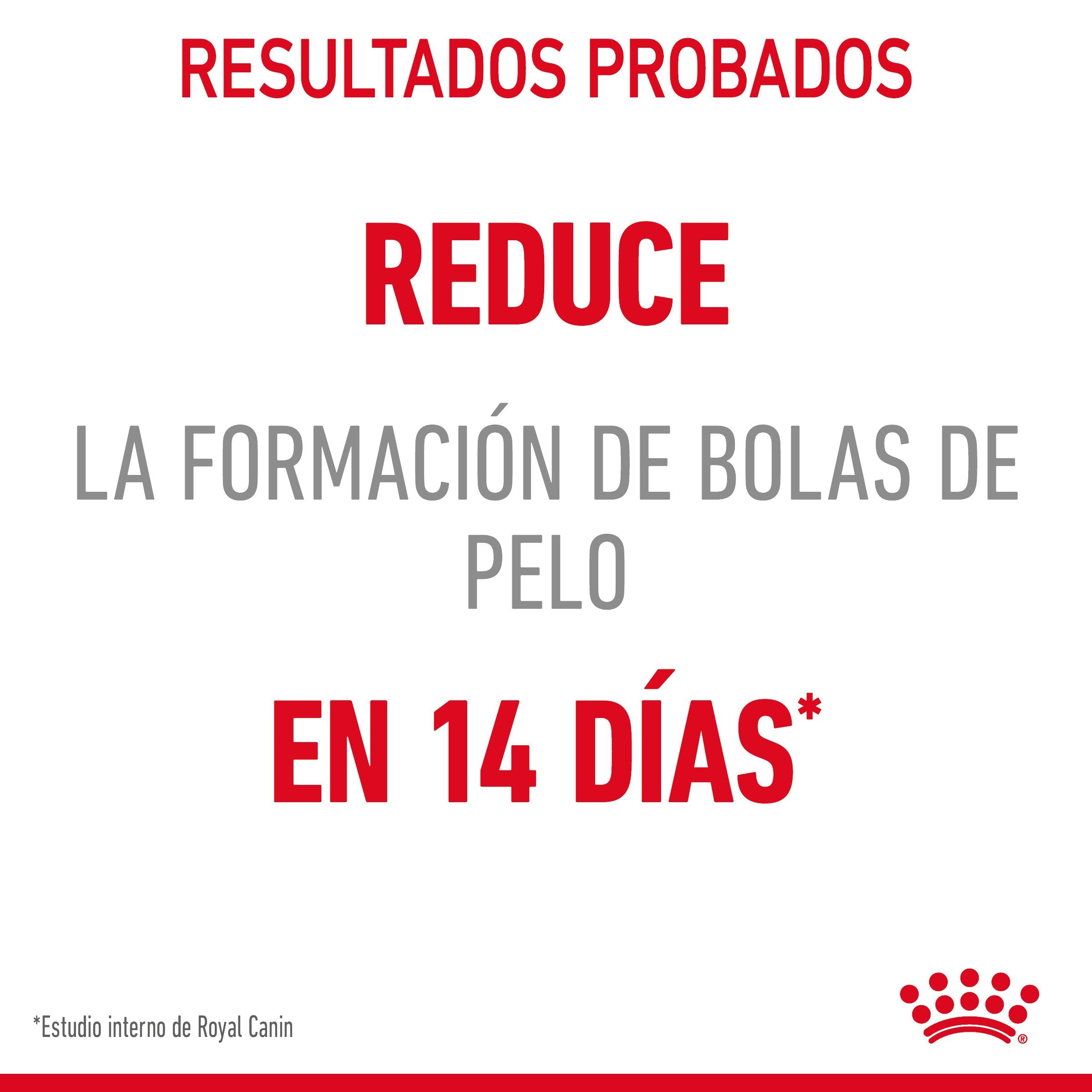 Royal Canin Hairball Care Pienso para Gatos Anti Bolas de Pelo al mejor precio -Todoanimal.es