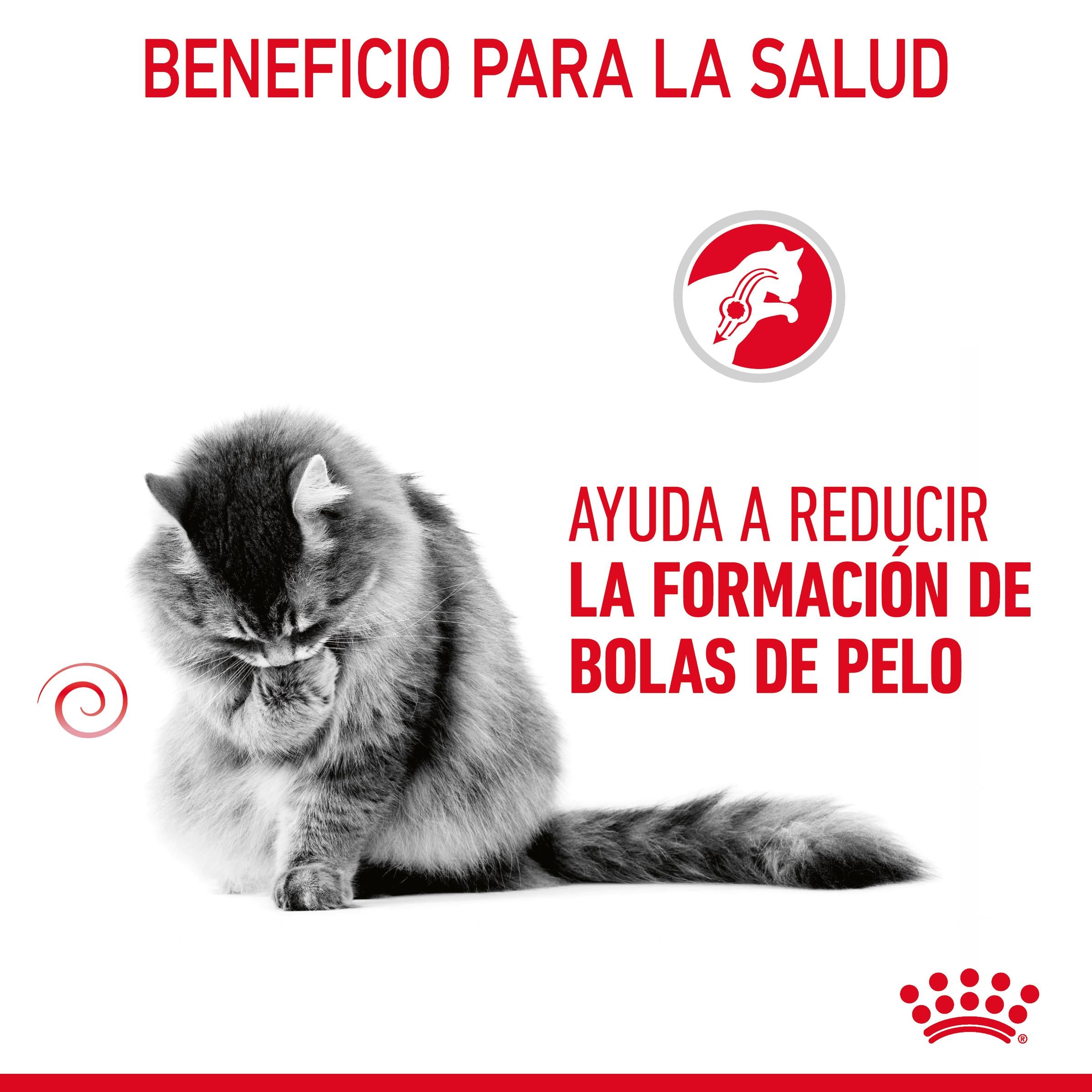 Royal Canin Hairball Care Pienso para Gatos Anti Bolas de Pelo al mejor precio -Todoanimal.es